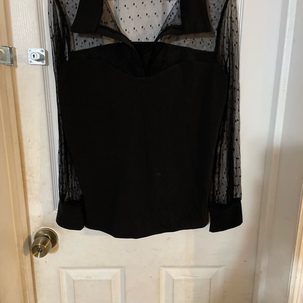 Black Sheer Long Sleeve Blouse with Notched Collar